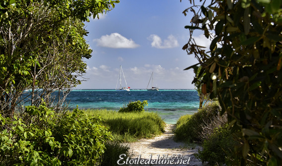 de-sainte-lucie-aux-grenadines_paysages-97-jpg