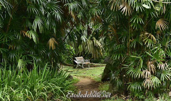 jardin-botonique-victoria-seychelles-9-jpg