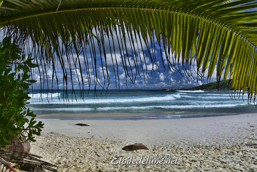 grande-anse_la-digue_seychelles-4-jpg