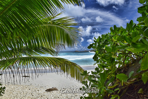 grande-anse_la-digue_seychelles-5-jpg