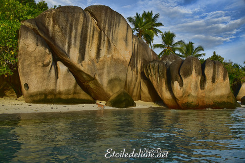 anse-source-dargent_la-digue_seychelles-14-jpg