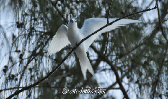 anse-source-dargent_la-digue_seychelles-2-jpg