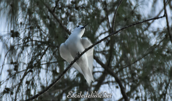 anse-source-dargent_la-digue_seychelles-3-jpg