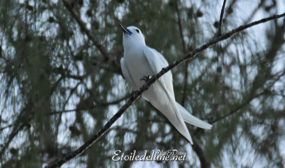 anse-source-dargent_la-digue_seychelles-4-jpg