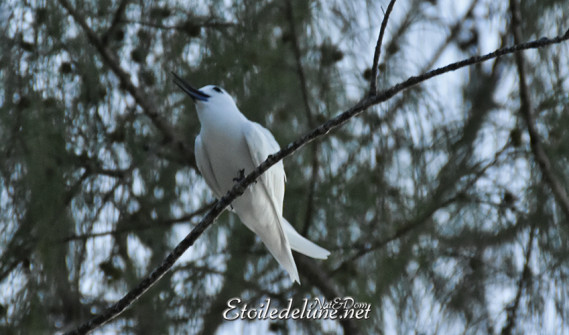 anse-source-dargent_la-digue_seychelles-5-jpg