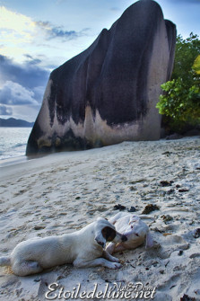anse-source-dargent_la-digue_seychelles-61-jpg