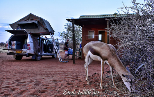 bagatelle-ranch-game-drive-camp-site