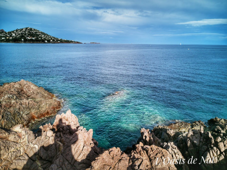 Quelques reflets Caraïbe en Méditerranée