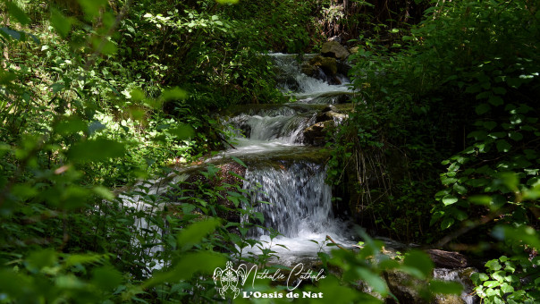 Quelque part dans la forêt, le chant de l'eau