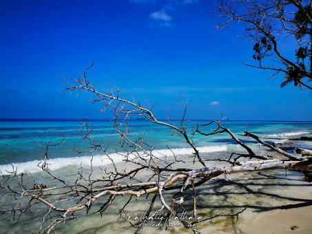 L'heure bleue aux Maldives