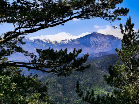 Une fenêtre sur le Canigou