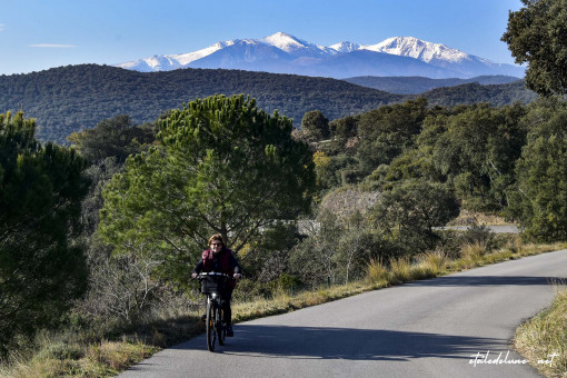 Braver le froid, à vélo, pour des balades sur fond de Canigou enneigé