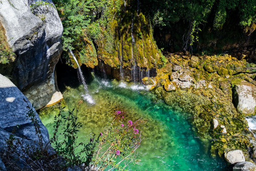 Magie des sources, l'eau cristal qui forge un bassin émeraude