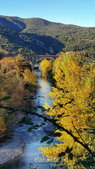 La rivière le Tech, Amélie les Bains, aux couleurs d'or