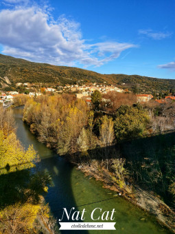 Le pont du Tech, Palalda