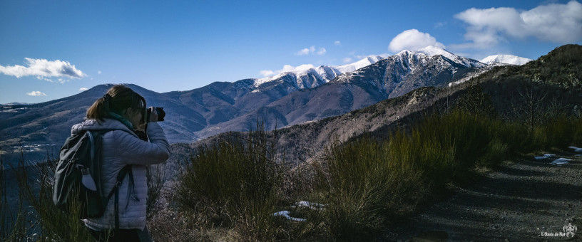 Le massif du Canigou depuis Formentera