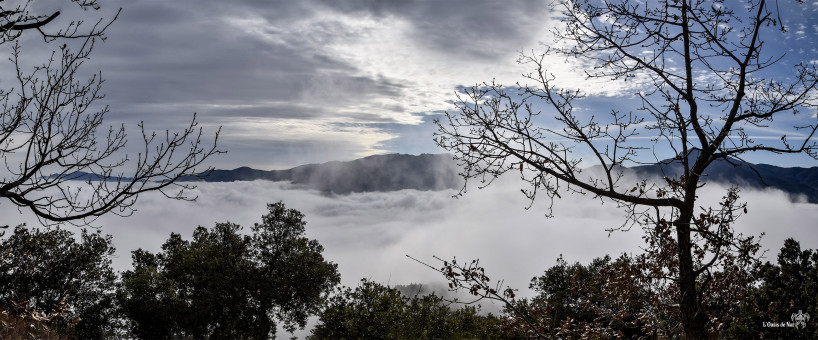 Mer de Nuages au-dessus du Vallespir