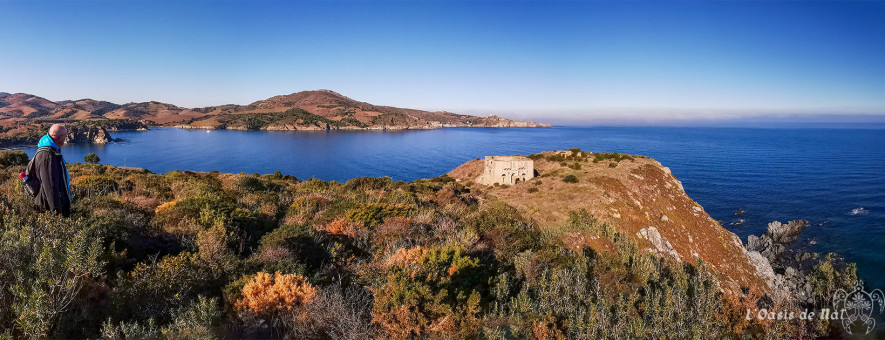 Les Paulilles, le cap Béar