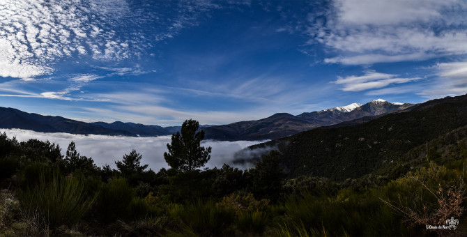 Fascinant de monter au-dessus des nuages : le silence bleu