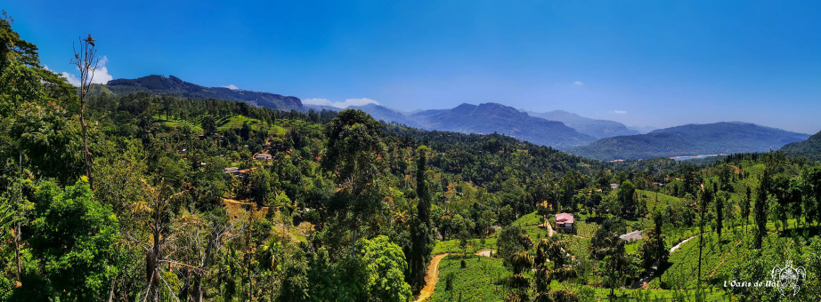 Ramboda des panoramas sans partages