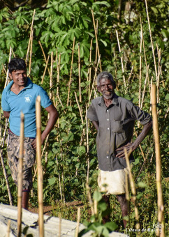Les agriculteurs, ces guerriers du quotidien