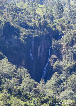 Cascades de Ramboda