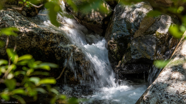 L'eau, omniprésent dans les Pyrénées défile en cascades...