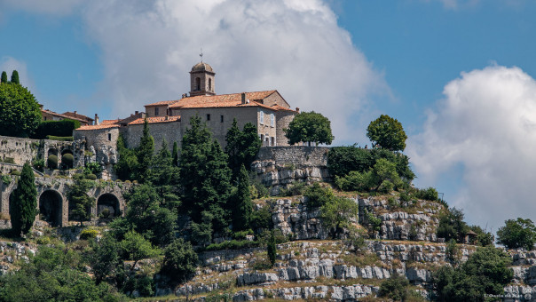 Gourdon sur son nid d'aigle