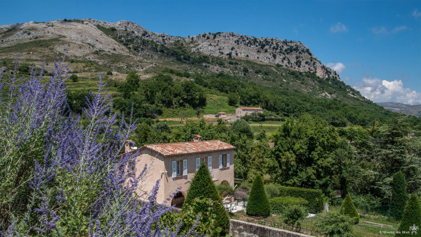 Un bouquet de lavande et mas provençaux