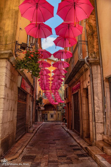 A l'ombre des parapluies roses symbolisant le parfum de l'une des fleurs emblématiques de Grasse