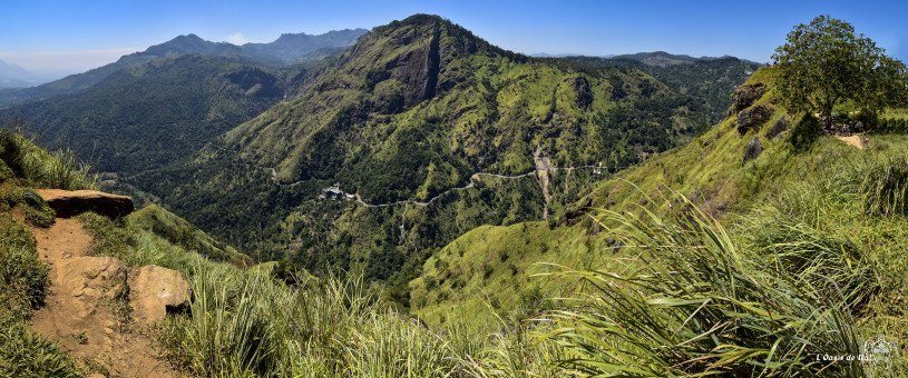 Vue imprenable sur Ella Rock, une randonnée prisée dans la région.