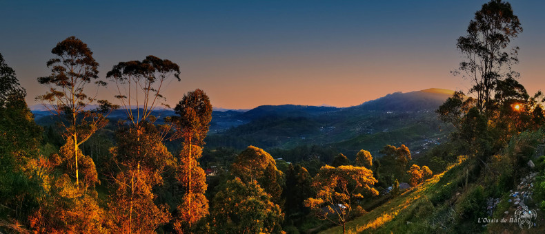 L'heure dorée du petit matin depuis le balcon de Rosenka