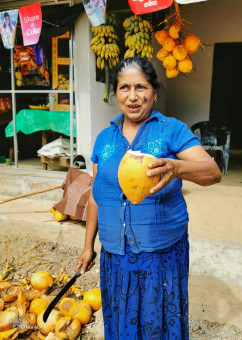 Un bon lait de coco, pour nous requinquer