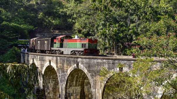 La carte postale de Sri Lanka : le passage de la vieille loco