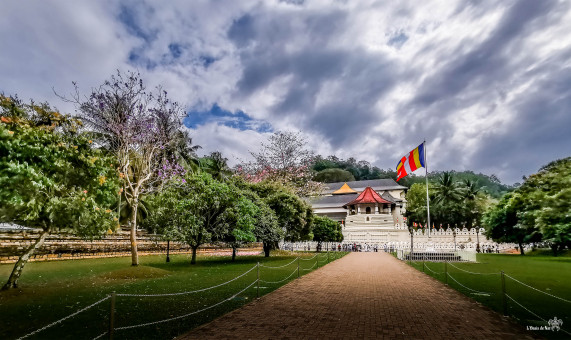 Sri Dalada Maligawa, le temple de la dent