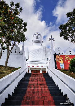 montagne Bahirawakanda