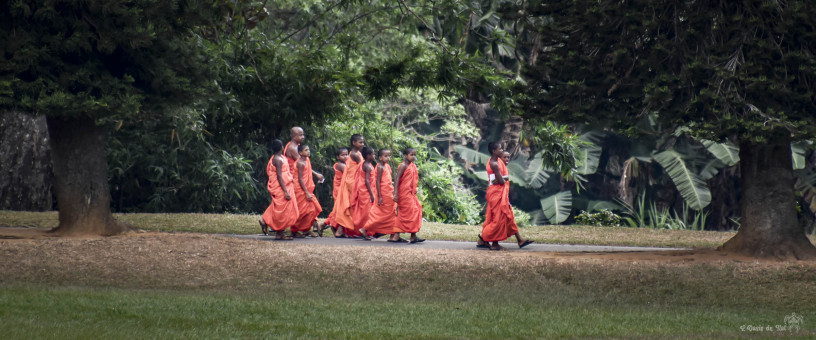 Les novices en balade