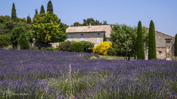 ambiance Provence