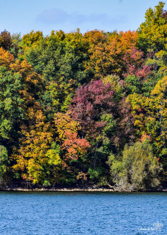 Florilège de nuances en ce début d'automne