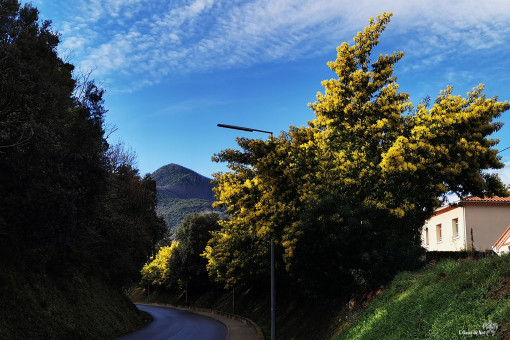 La petite route qui mène à notre village