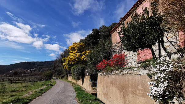 Le chemin de la belle vie...