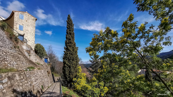 Joli village de Palalda