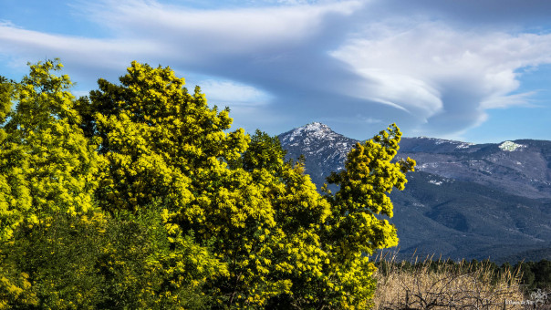 Un jour de tramontane, Puig Neulós