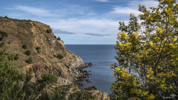 Côte Vermeille