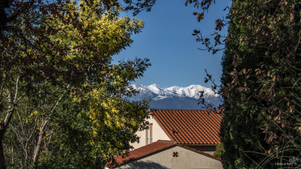 Par dessus les toits des villages, l'or et la neige convolent dans l'Azur
