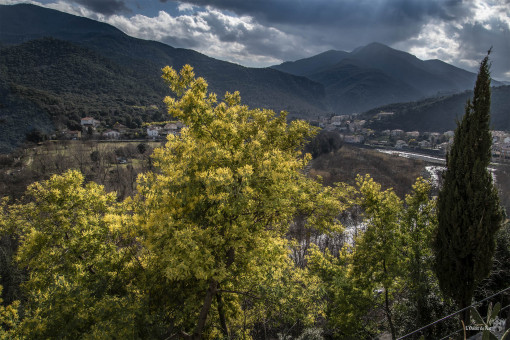 Les contrastes lumineux de l'hiver à Palalda