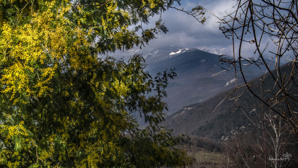 Voile de lumière sur le Massif du Canigou