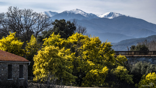 Depuis le Pont du Diable de Ceret