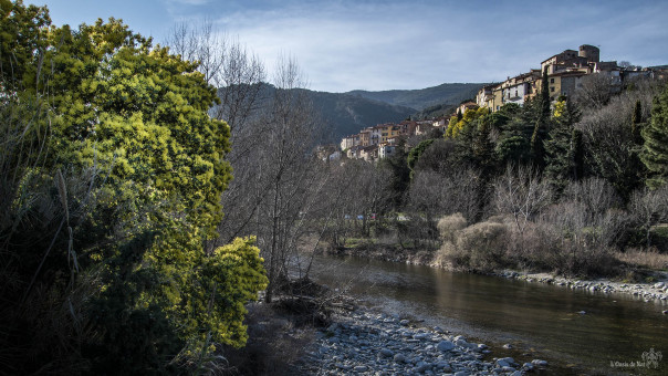 Au bord du Tech, Palalda