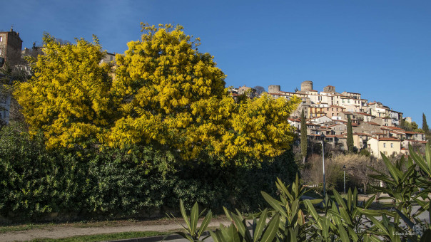 Le Roi de l'hiver règne sur Palalda